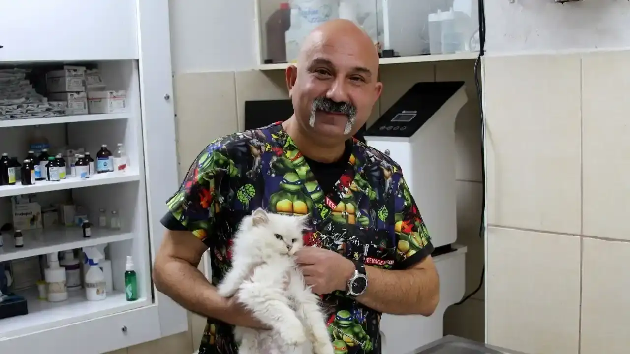 Adana’da Sokak Kedisiyle İlgili Şaşırtan Gerçek: Veterinerler Bile Şaşkın! 4